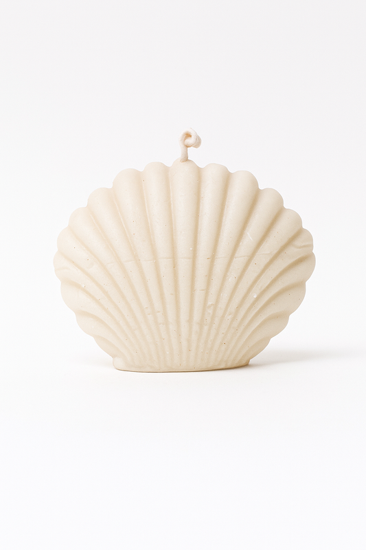 Bougie Coquillage